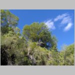 10Boca De Yuma_0285.JPG